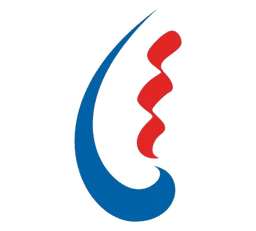 STEG logo